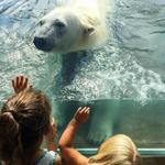 The Buffalo Zoo