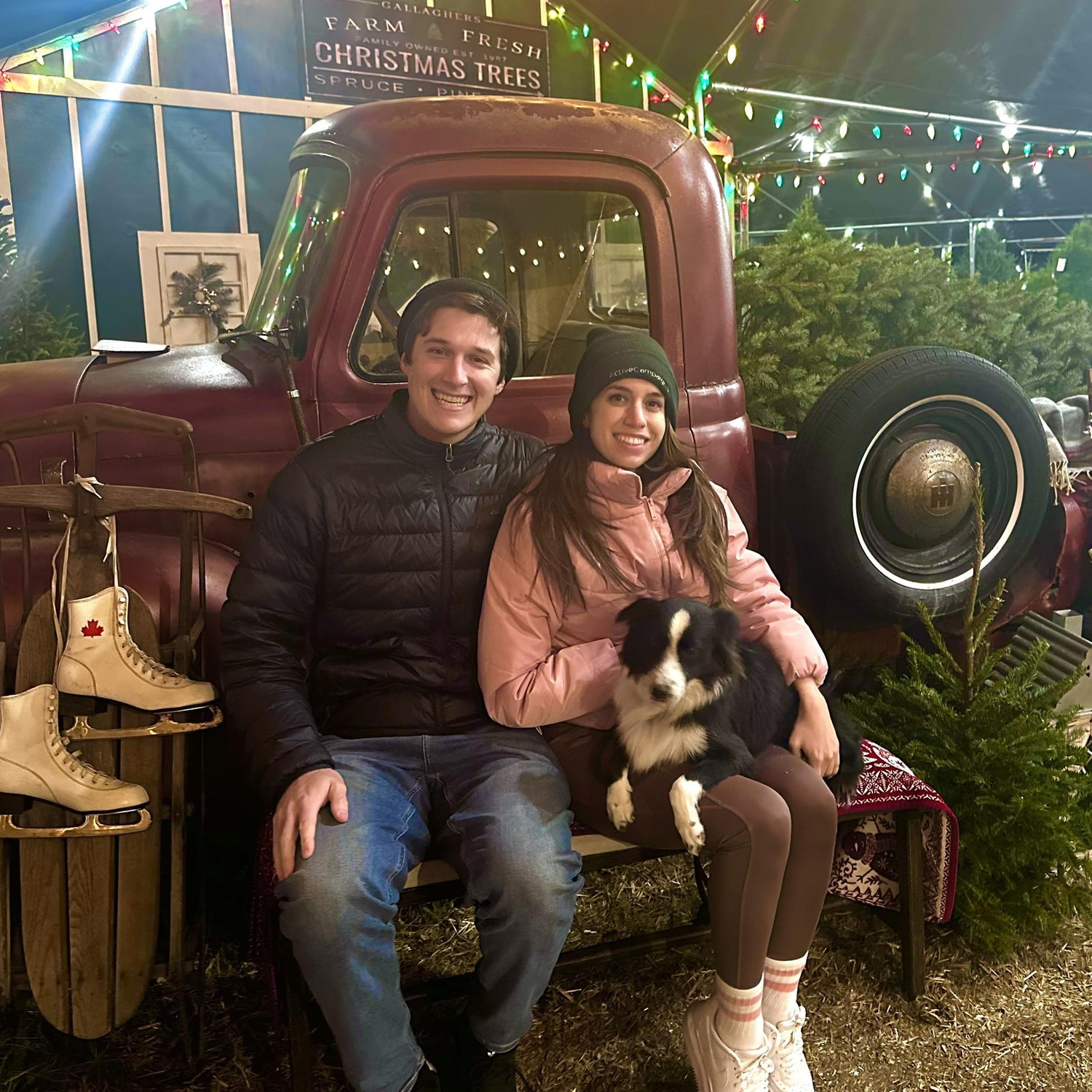 2023: Christmas Tree picking