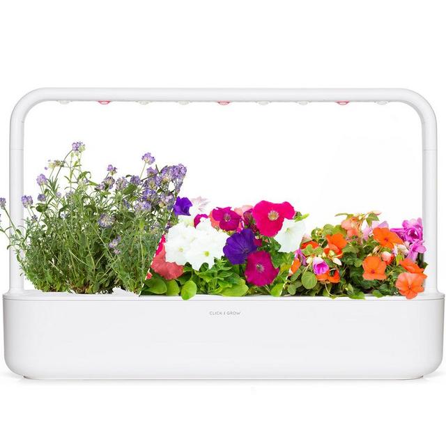 The “Herbs go with everything” Kit