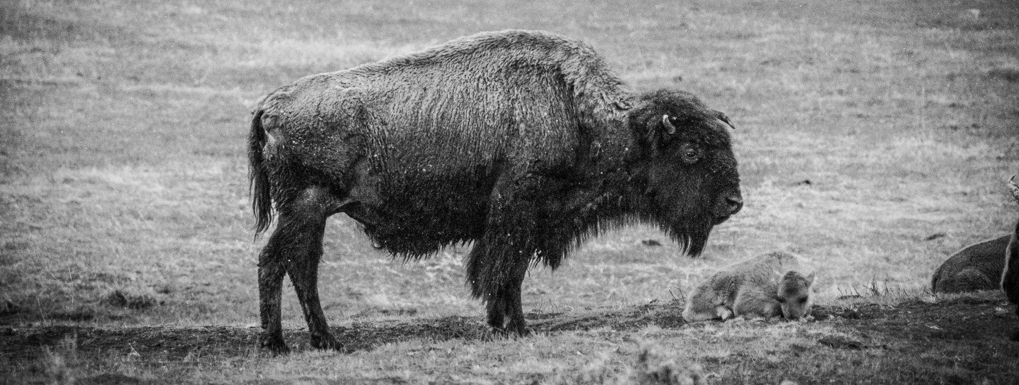 The Wedding Website of Carina Matonis and Blaine Townsend