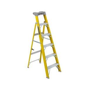 6 ft Ladder