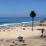 The Beach!