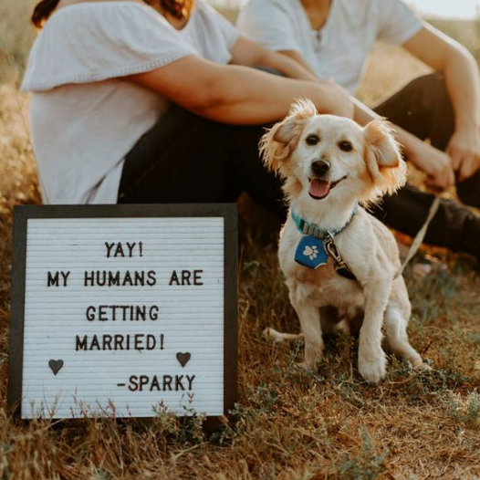 Photography by Brittany Bender Photography