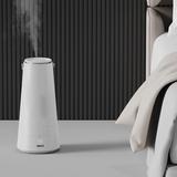 H10 Humidifier