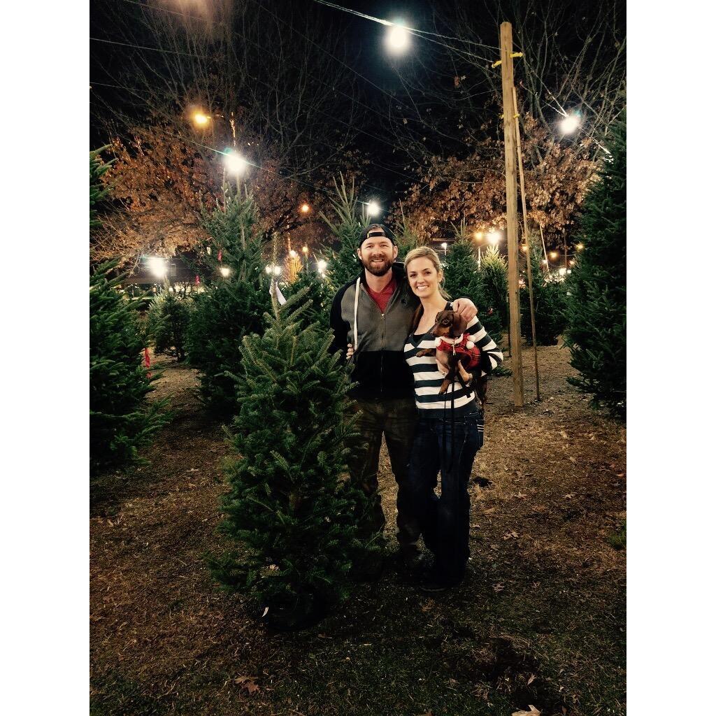 Christmas tree shopping!