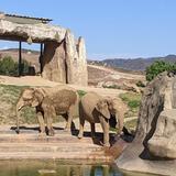 San Diego Zoo Safari Park