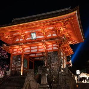 Visit temples in Japan