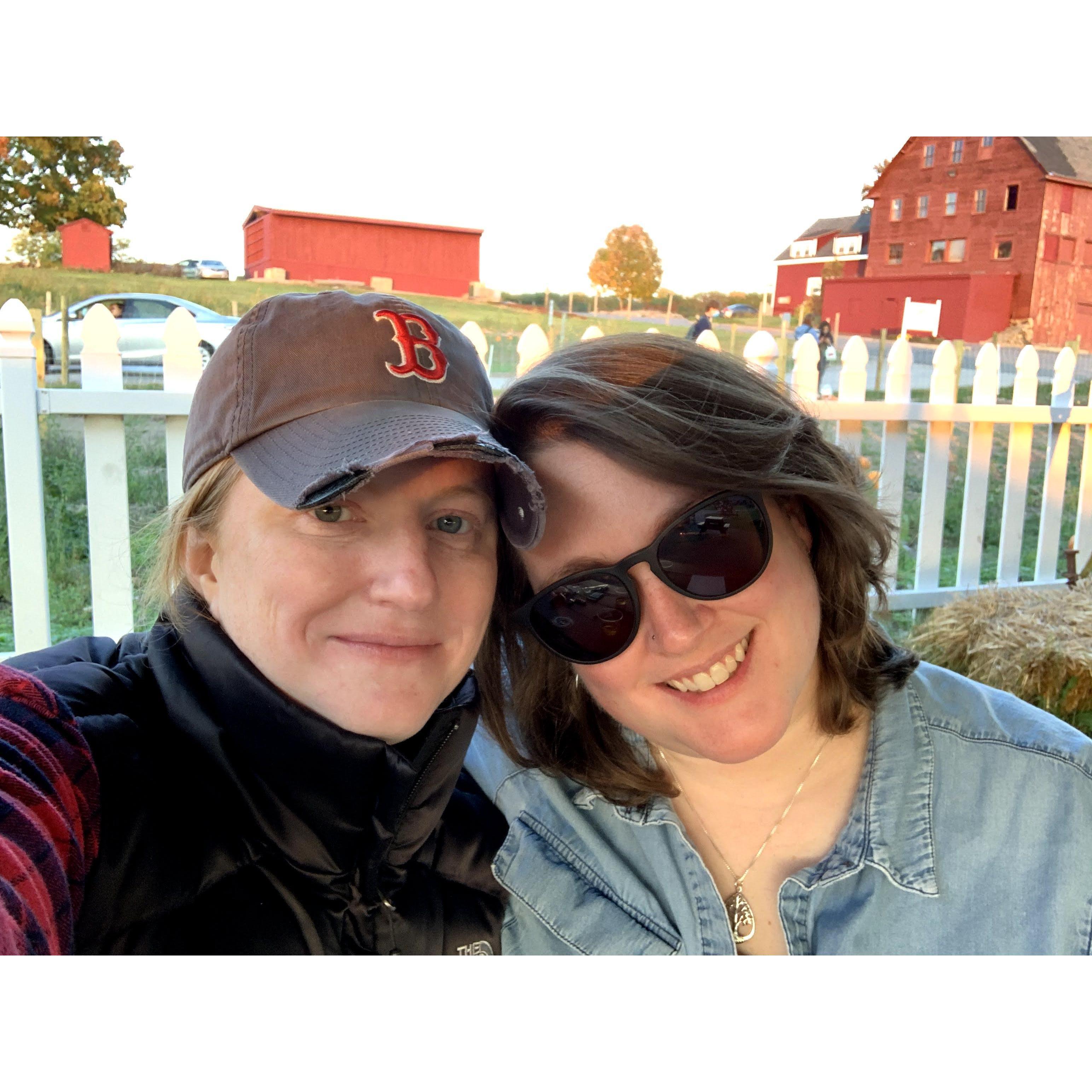 Apple picking in Newton