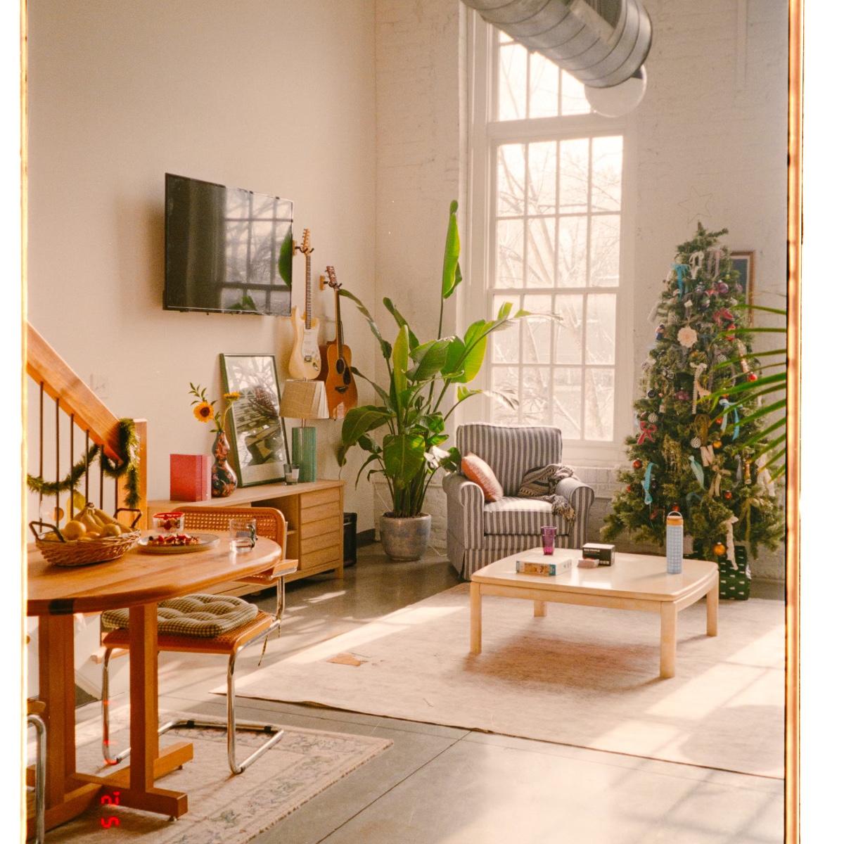 Our very first Christmas!