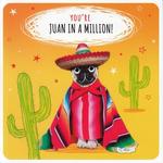 Juan in a Million