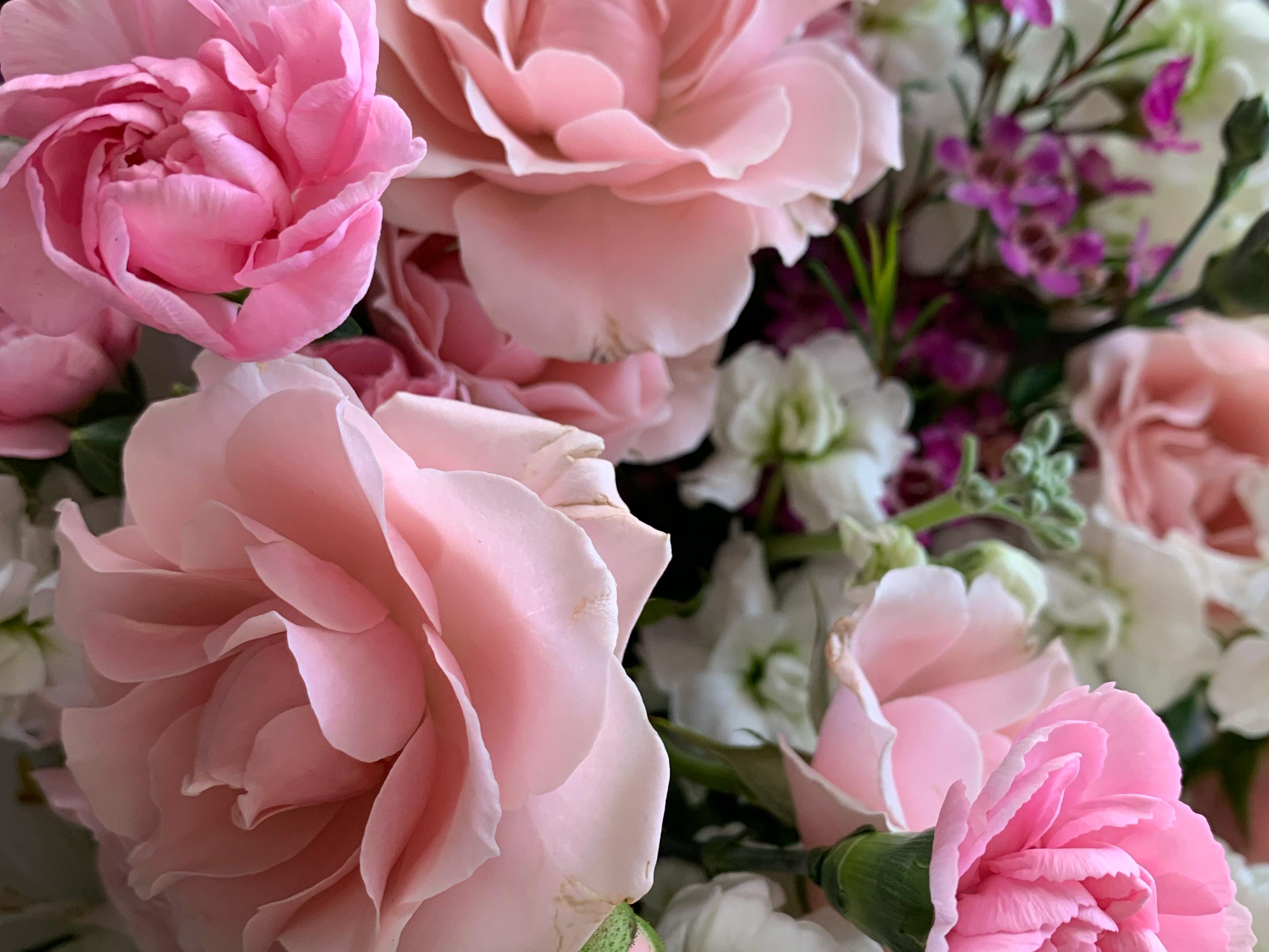 The Wedding Website of Charles Smolic and Breanne Hastings