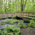 Blydenburgh County Park
