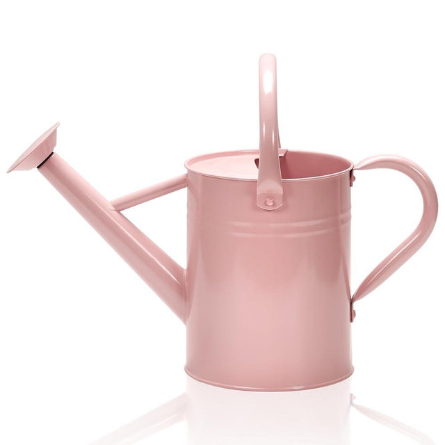 Ausluru Metal Watering Can with Removable Spout, Galvanized Watering Can, Perfect Plant Watering Can for Indoor Use and for Outdoor Use (1 Gallaon, Pink), W8105PP