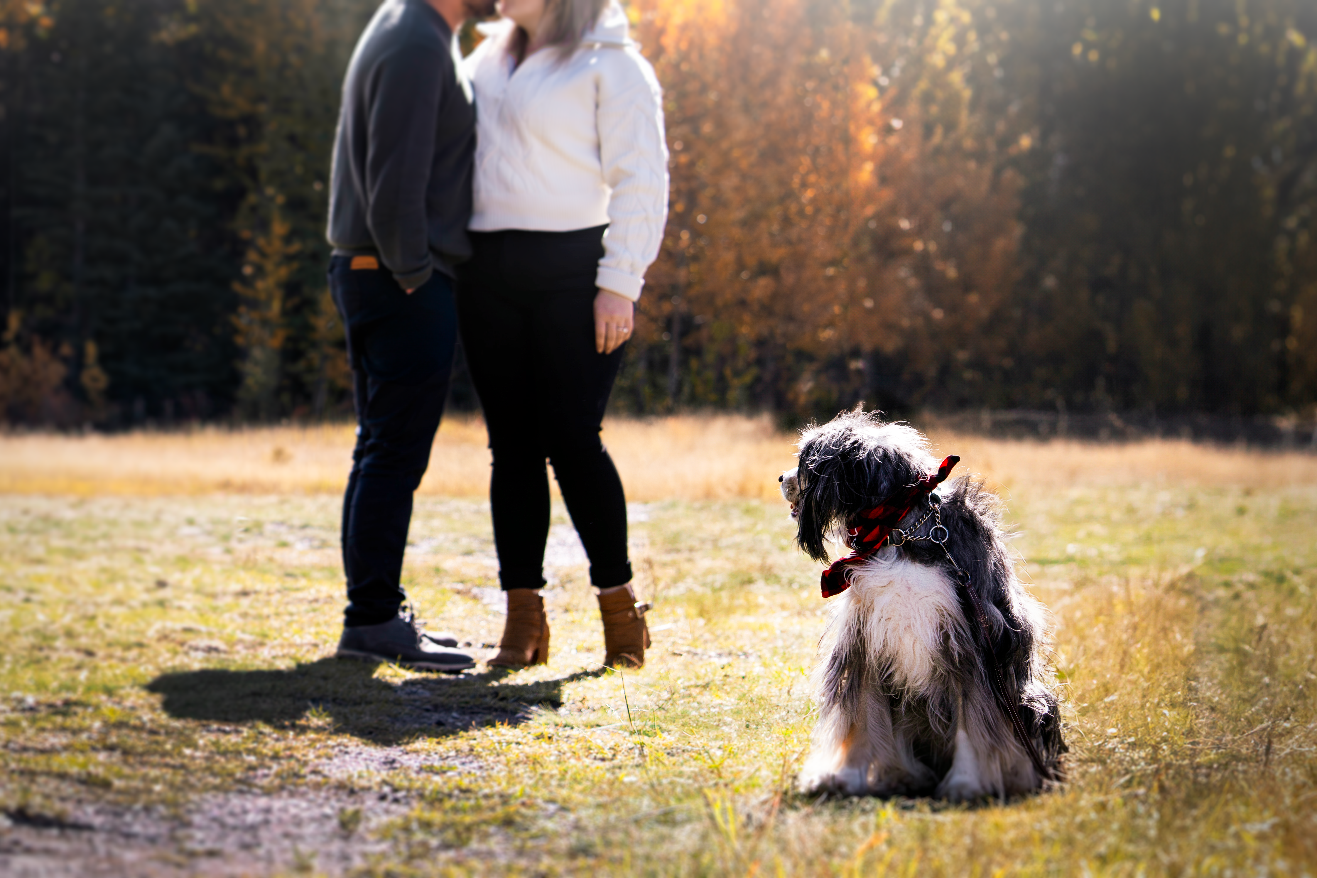 The Wedding Website of CODY BEAUDRY and SHANNON BAHR