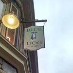 Blue Dog Tavern (Lunch) - Westside