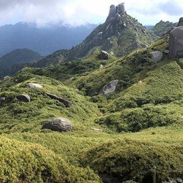 Hiking Trip to Yakushima