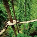 Capilano Suspension Bridge Park