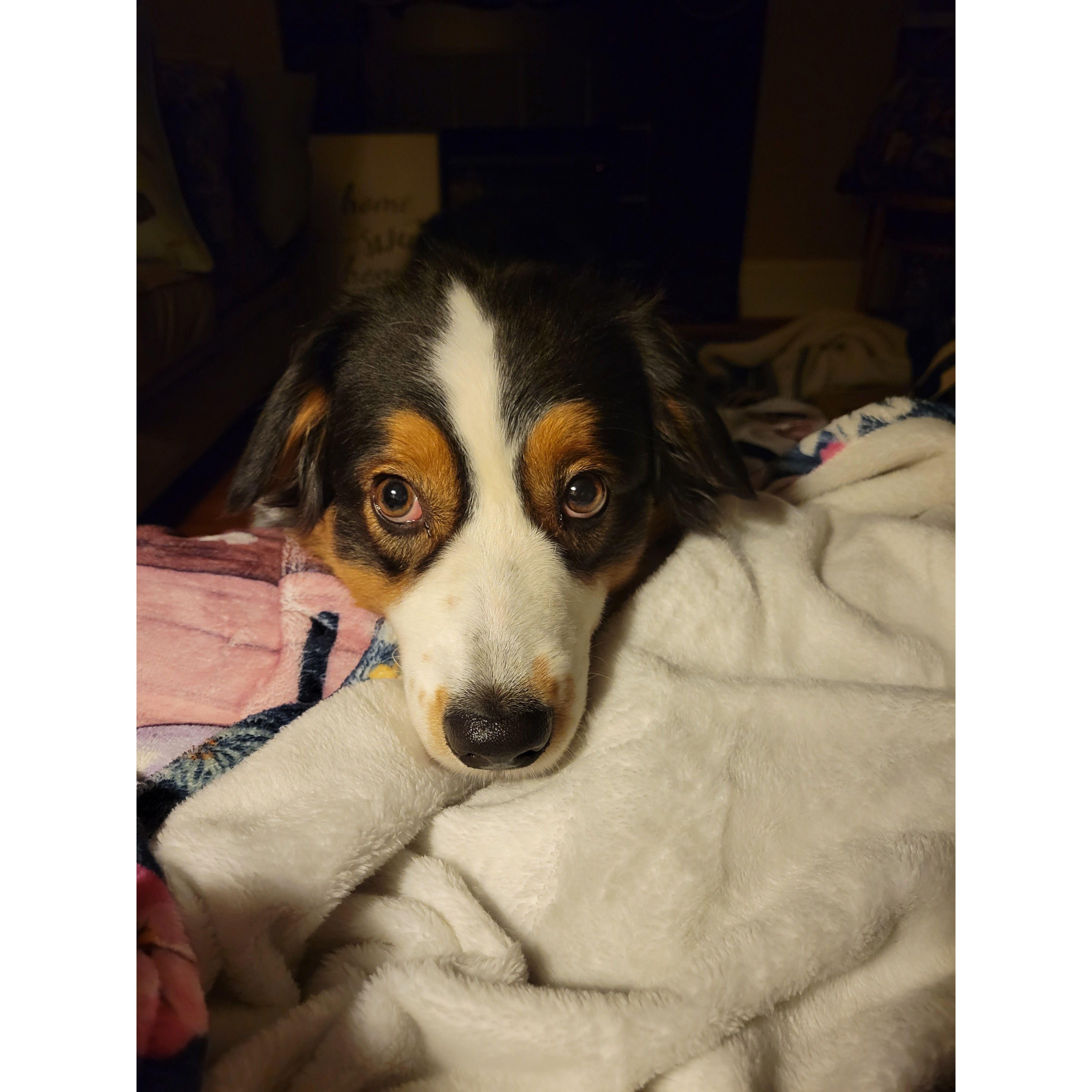 Our girl Luna!