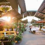 Capitol Market