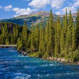 Point Whitehorn Hike