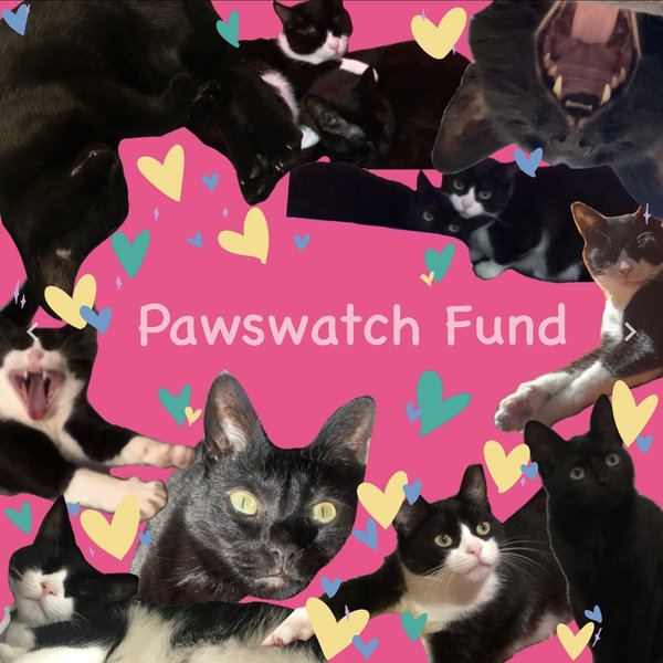 Pawswatch Community Cat Center Fund