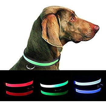 LED Dog Collar - Red