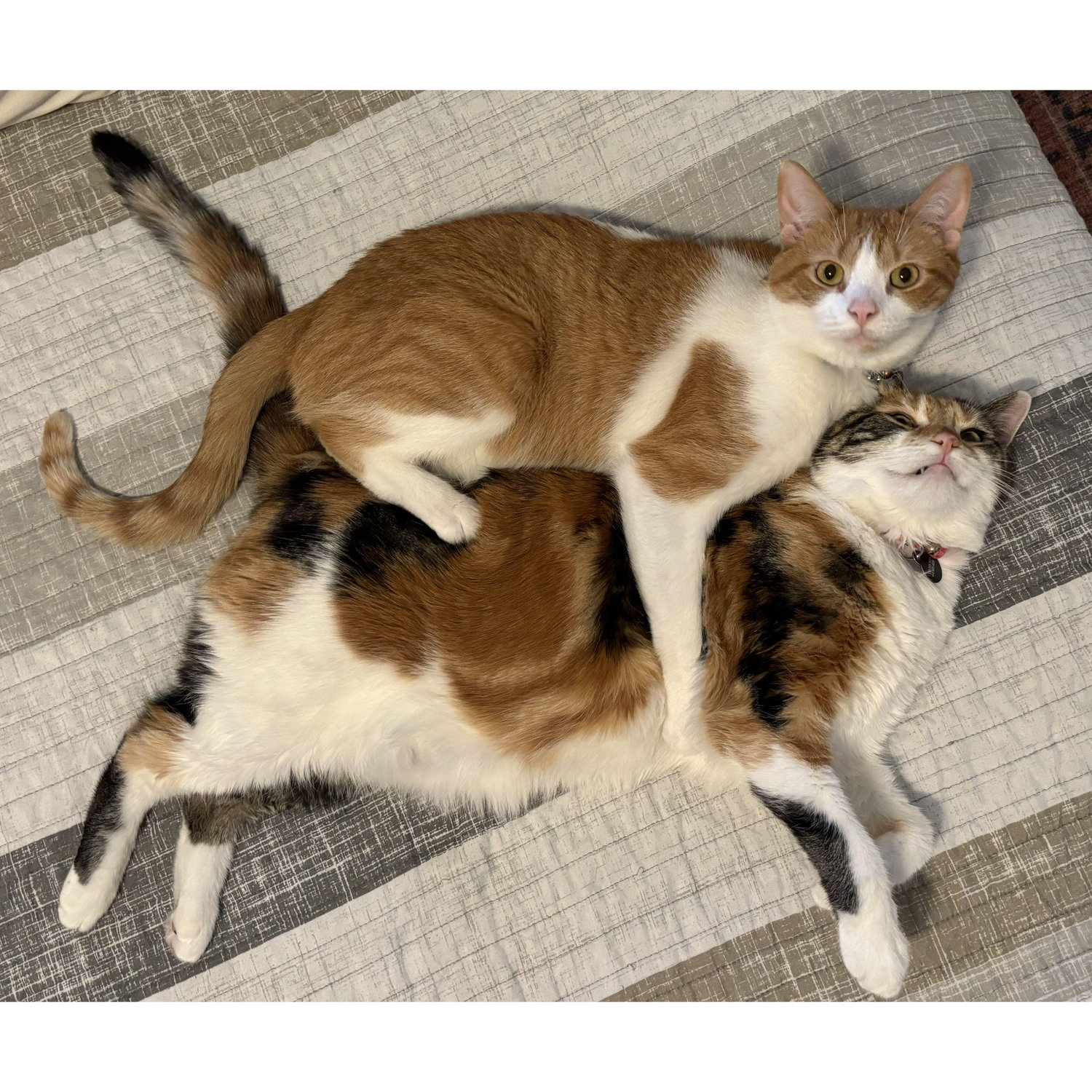 Uhhhh... you caught us!