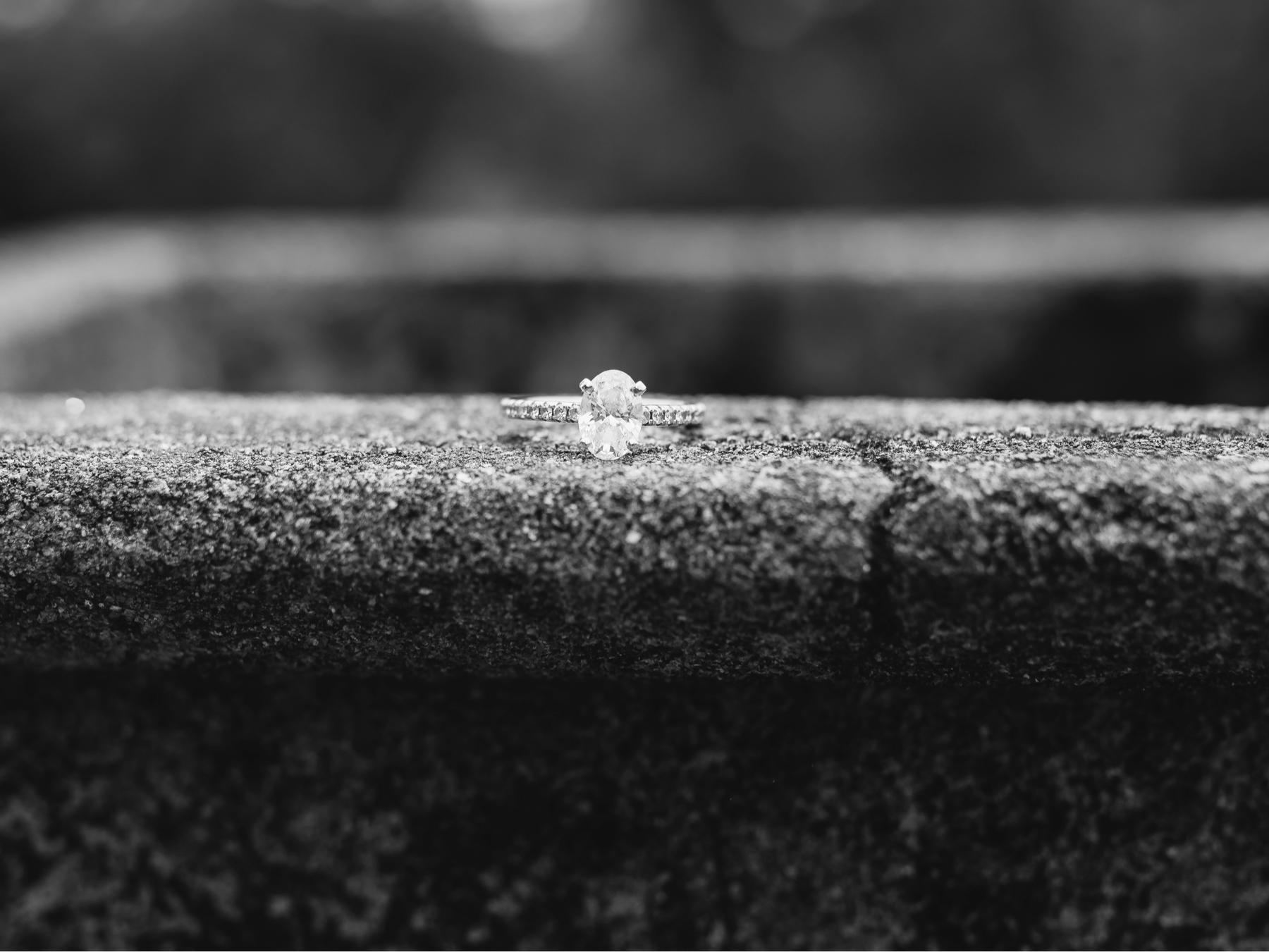 The Wedding Website of Megan Zwayyed and Stephen Skeen