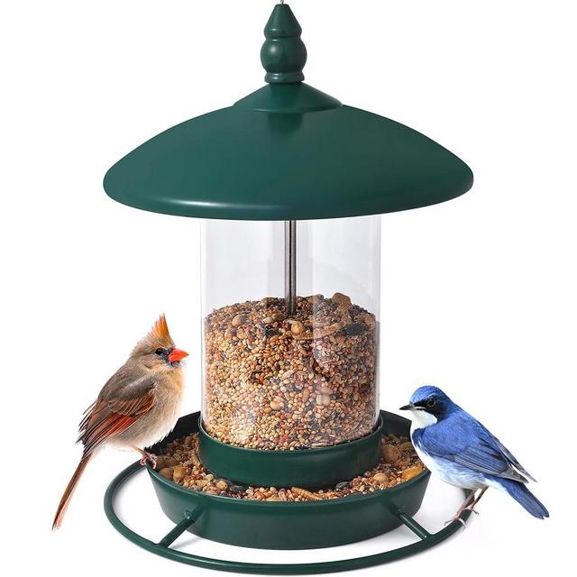 Bird Feeder for Outdoors - 360° Feeding Perch. Green
