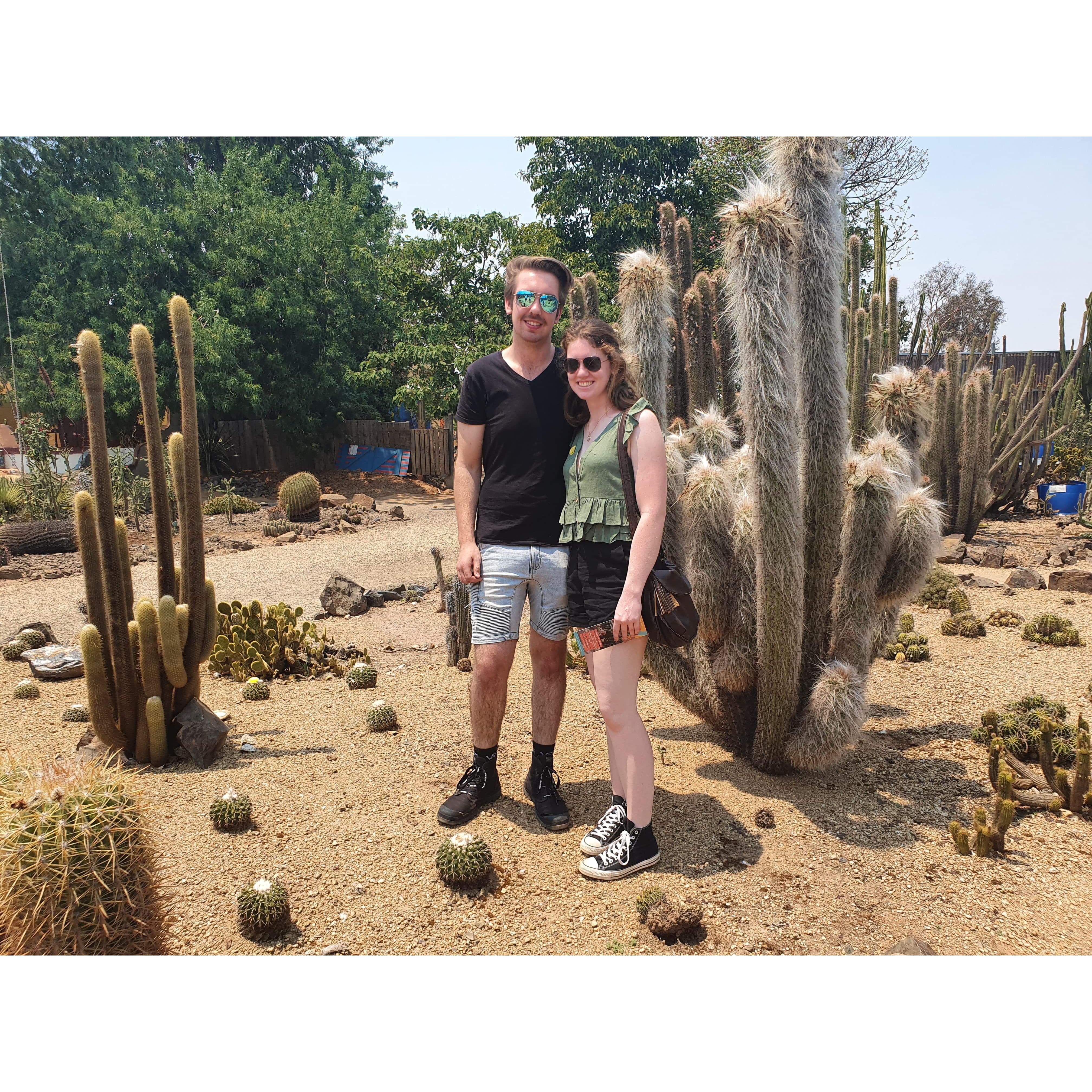 The time we visited Cactus Country