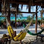 Siesta Daily