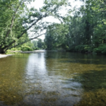 Orvis Fly Fishing School