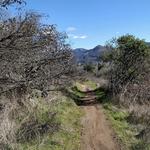 Trione-Annadel State Park