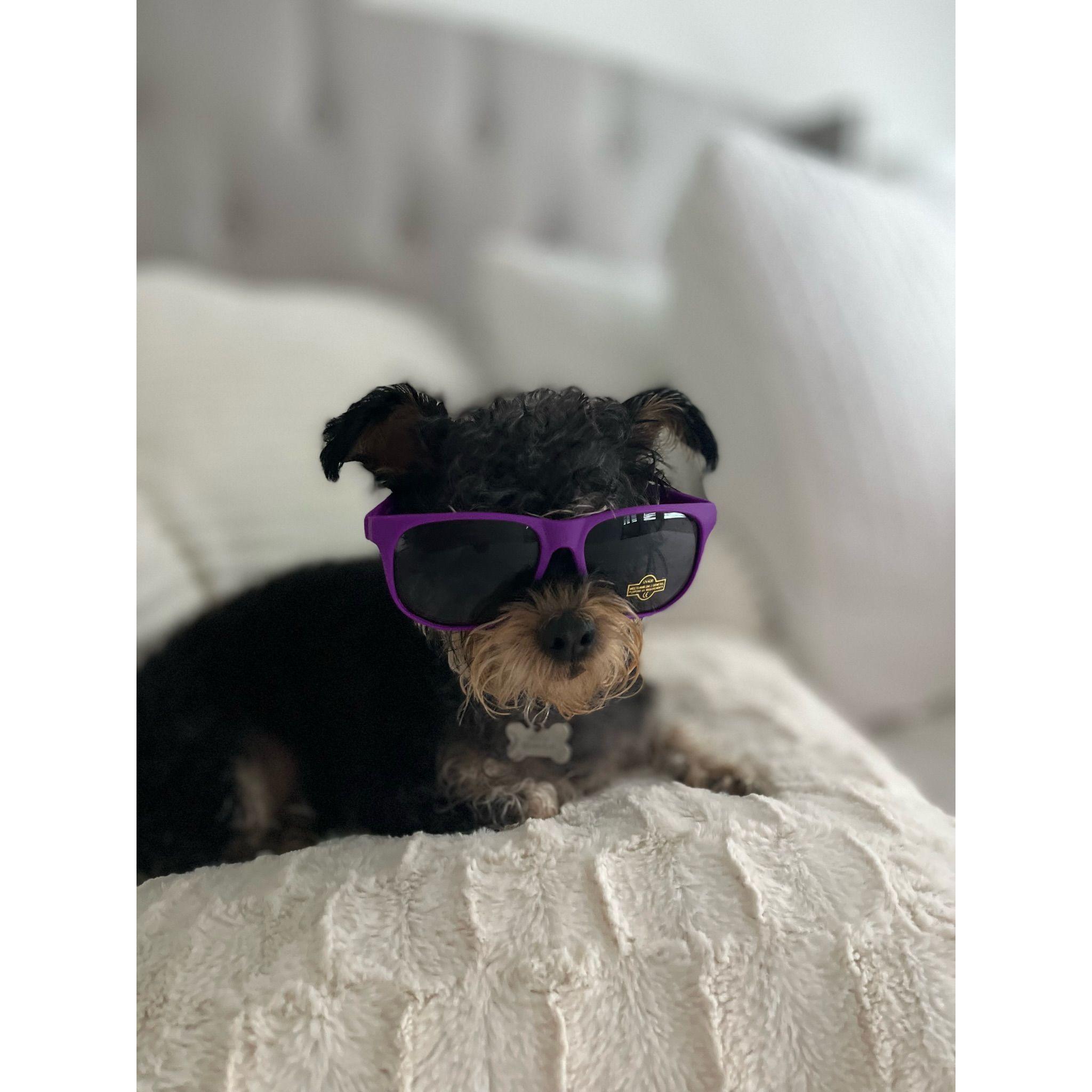 Our furry baby