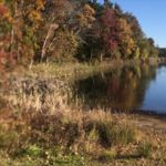 Lincoln Woods State Park