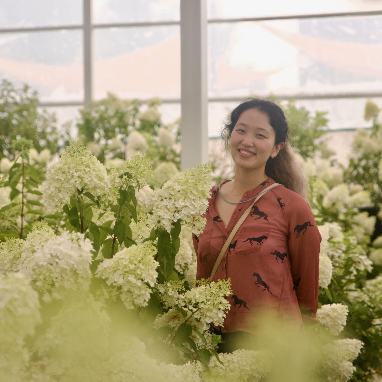 Jul 2021 - Jeju island