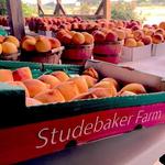 Studebaker Farm Peaches
