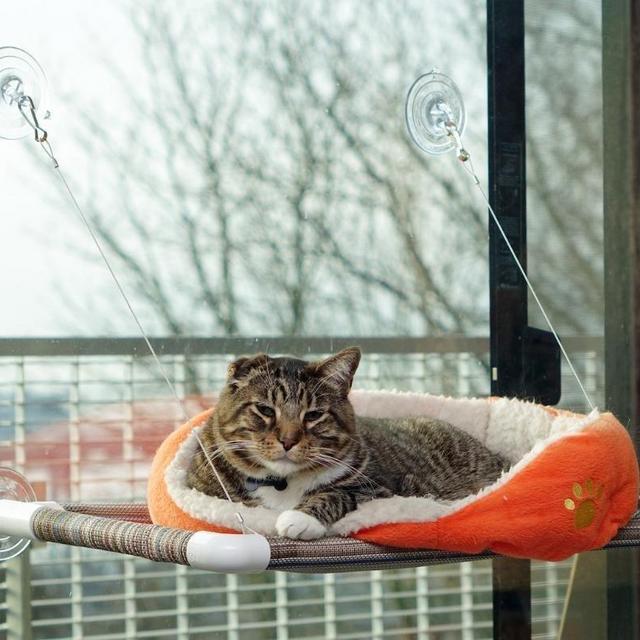 Kitty Cot Original World's Best Cat Perch (Medium) …
