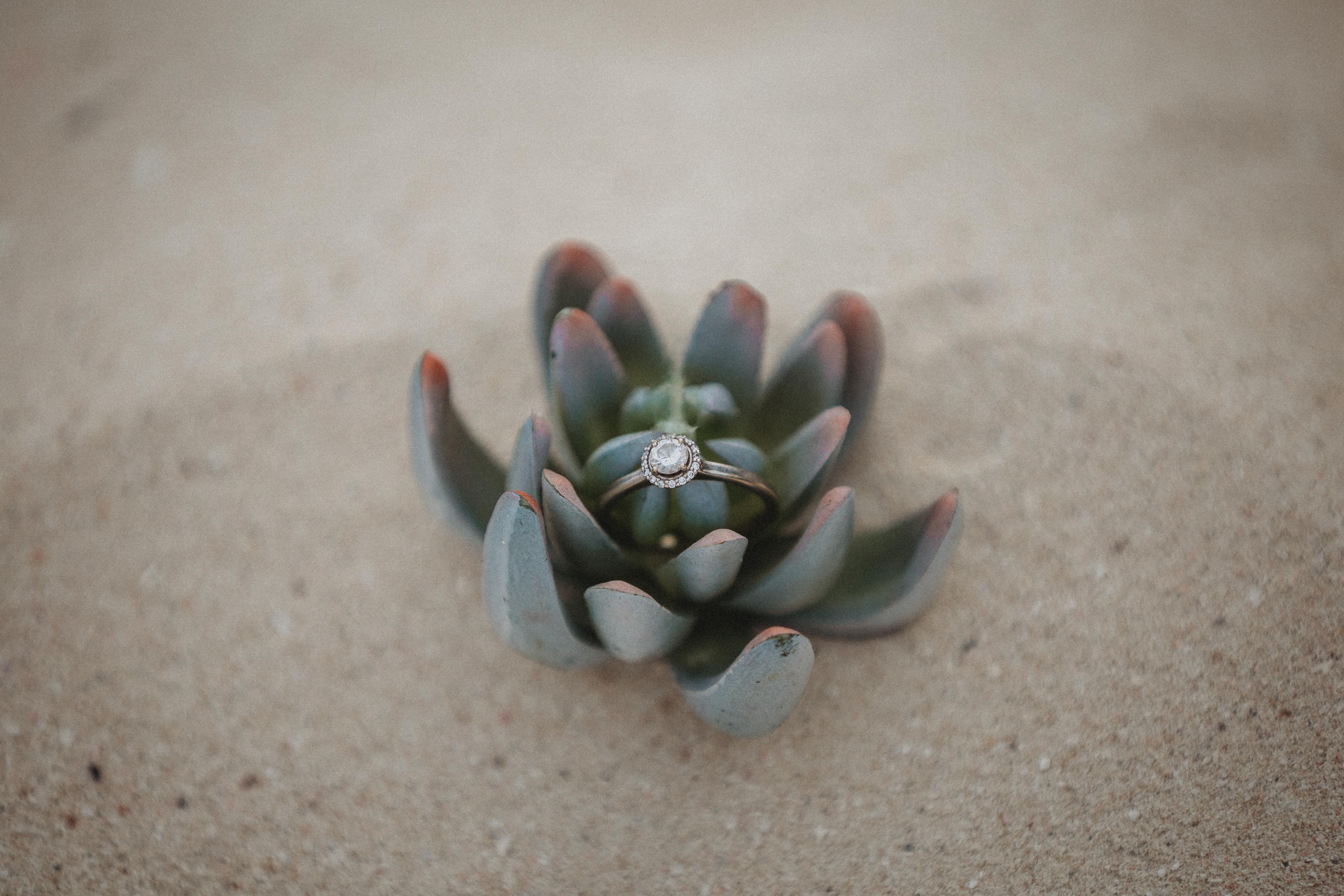 The Wedding Website of Chelsea Halbrook and Chad Sedlacek