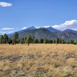 Buffalo Park
