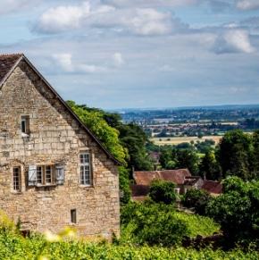 Wine tasting in Burgundy