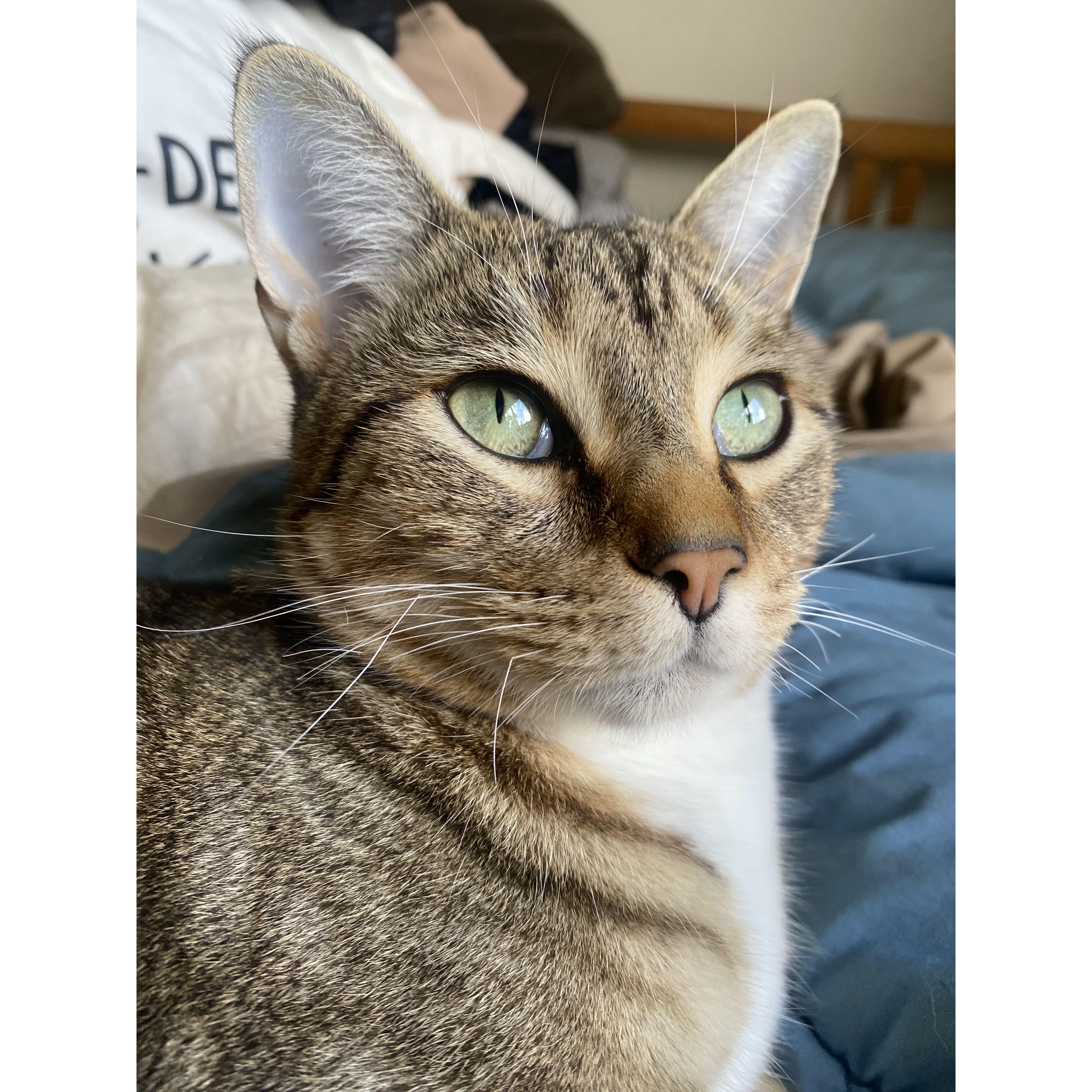Toph's green eyes