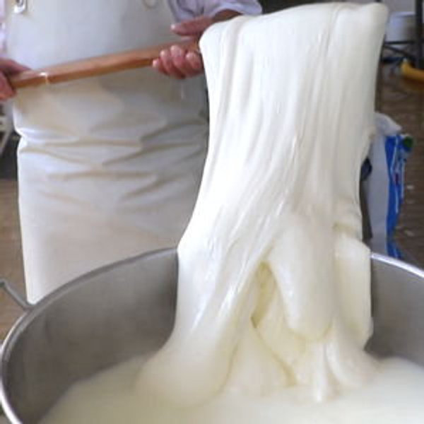Mozzarella Making Experience