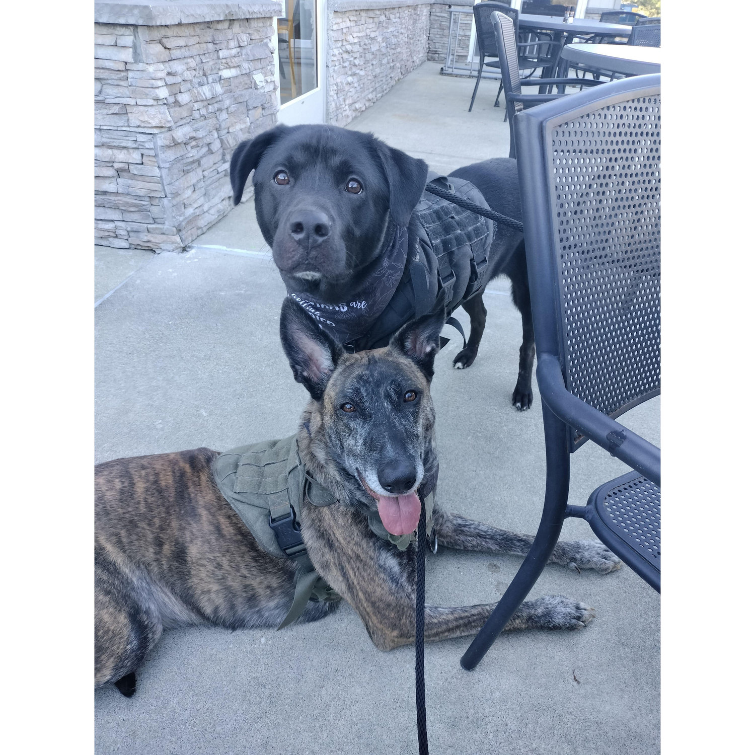 Maddie and Coal