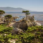 17 Mile Drive