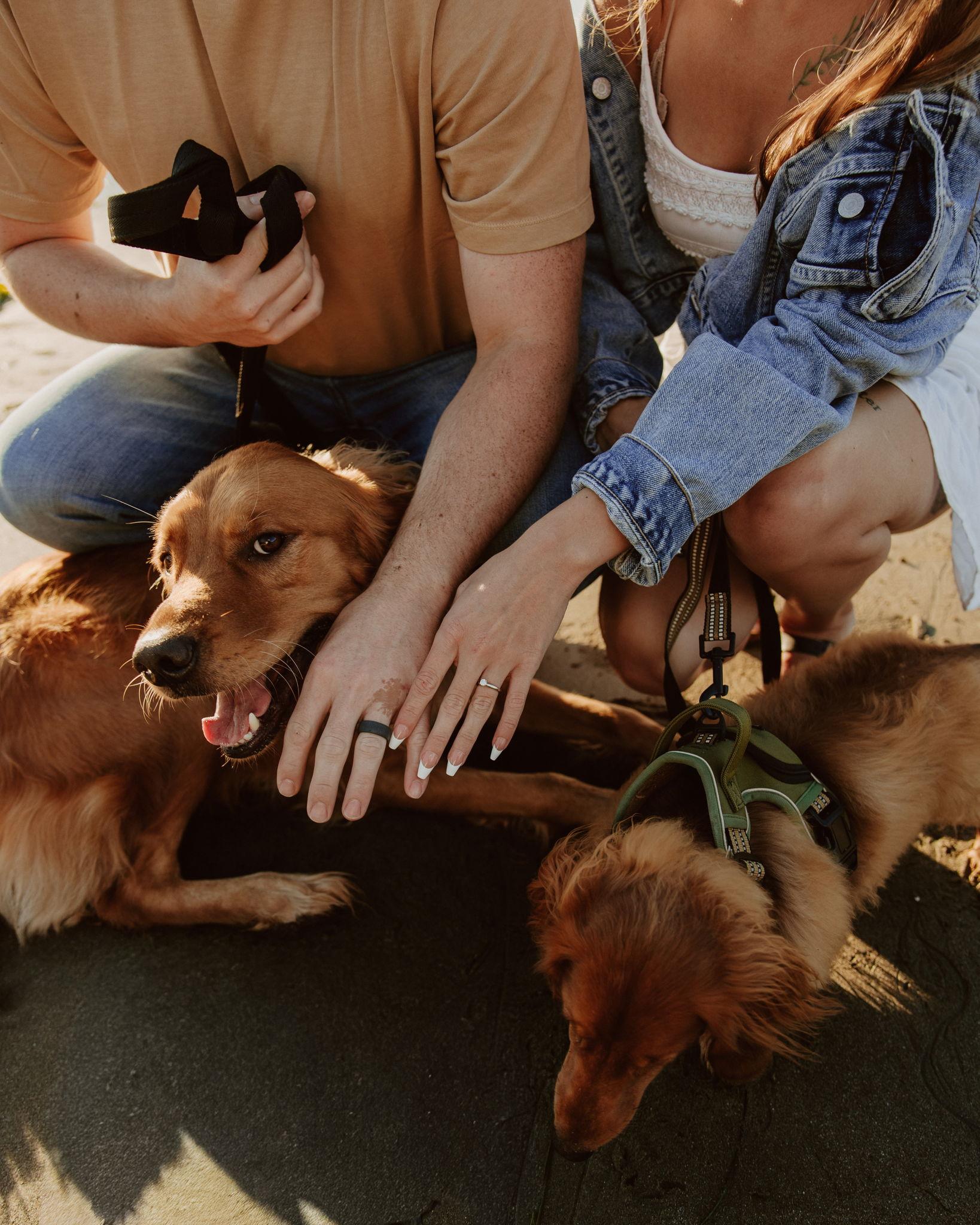 The Wedding Website of Erin Campbell and Hunter Campbell