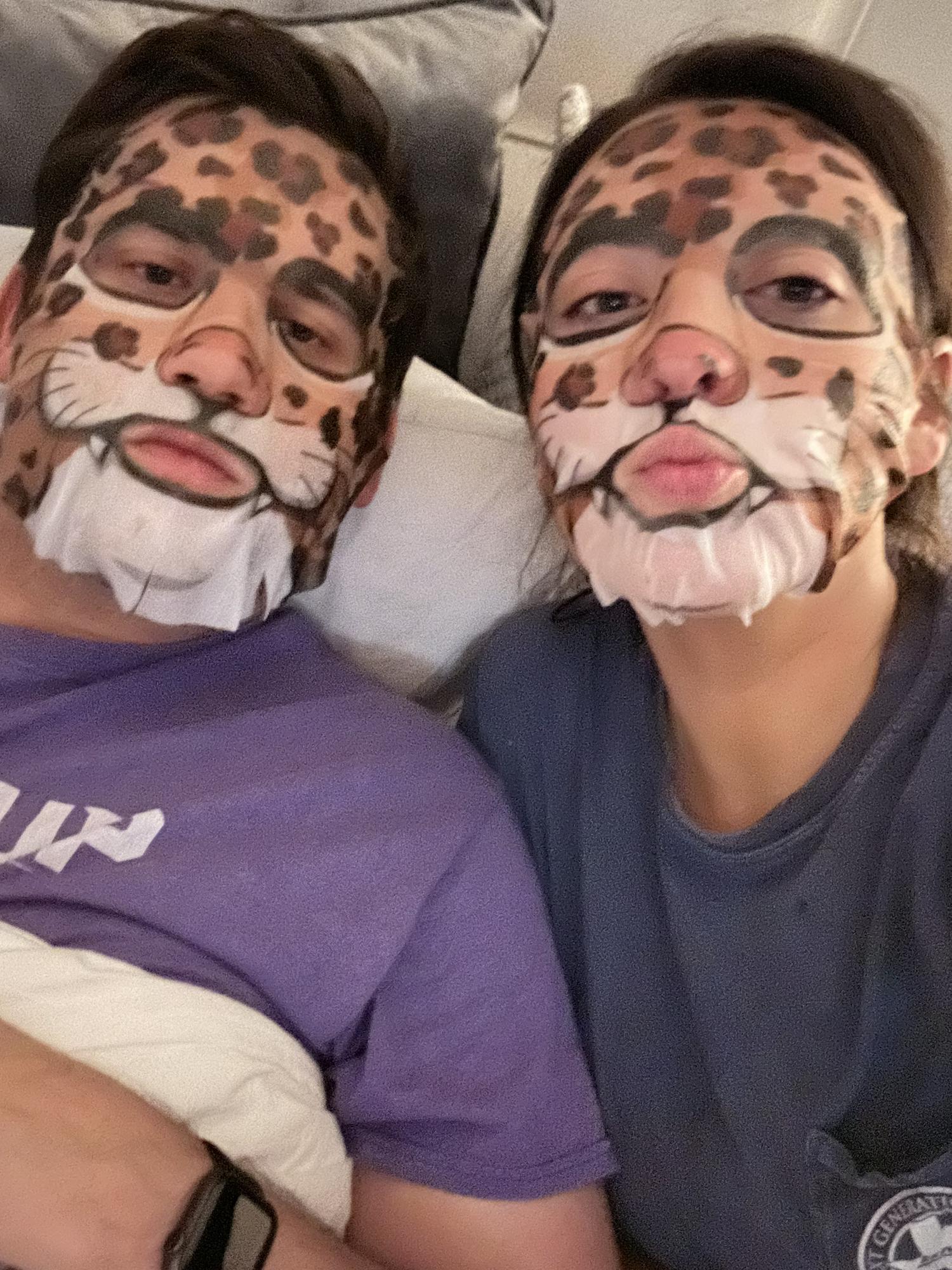 Cheetahs - enough said