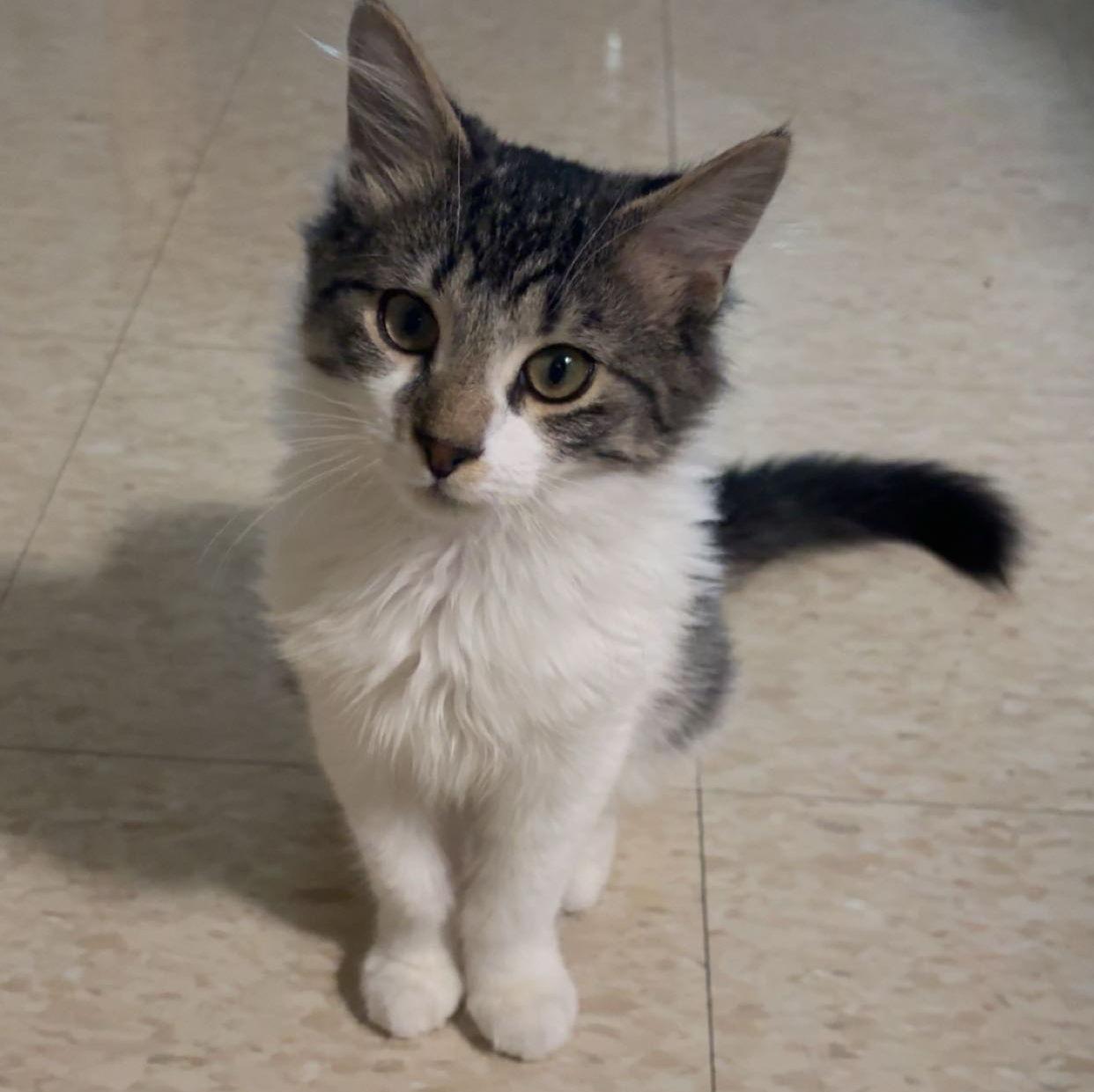 our "son", Frank