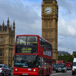 City Tours
