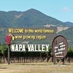 Napa Valley Wine Tasting